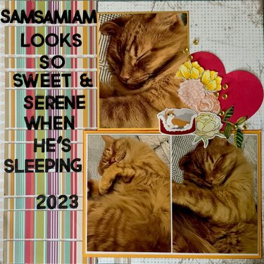 Sweet and Serene SamSam