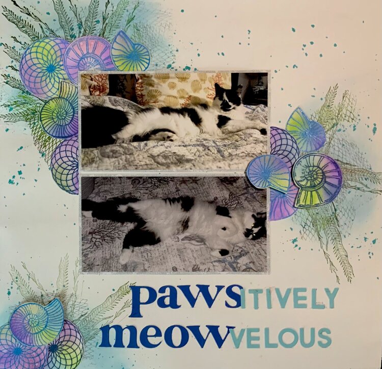 PAWSitively MEOWvelous