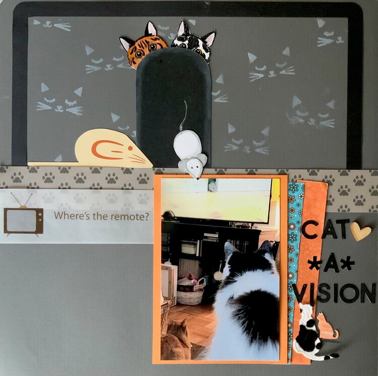 Cat-a-Vision