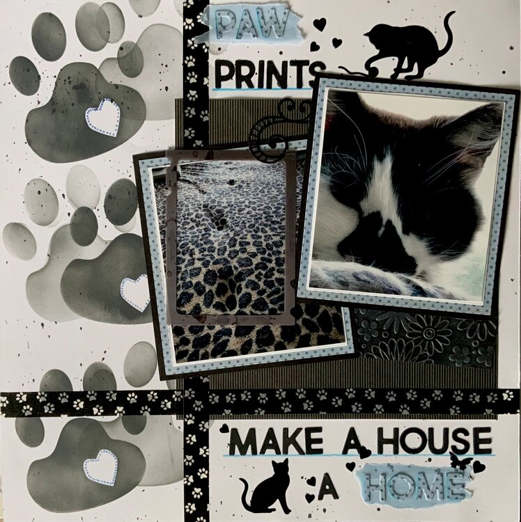 Paw Prints Make a House a Home