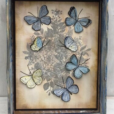 Butterfly Vintage Print