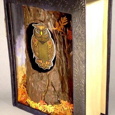 The Owl House "Book"