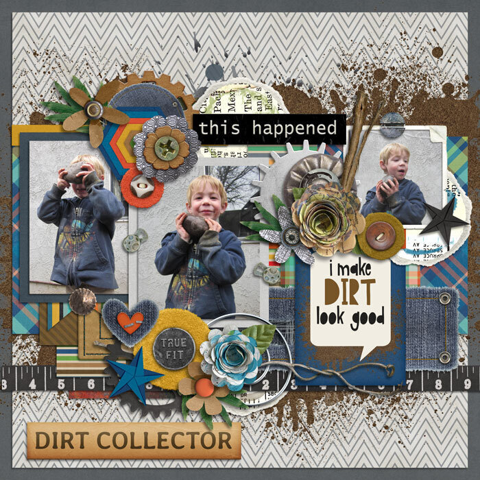 dirt collector
