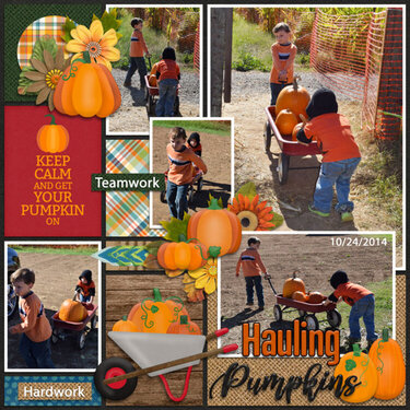 hauling pumpkins