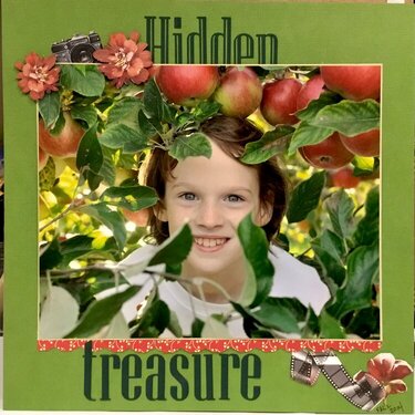 Hidden Treasure