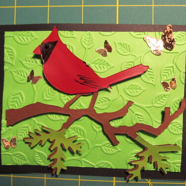 Cardinal on branch, card