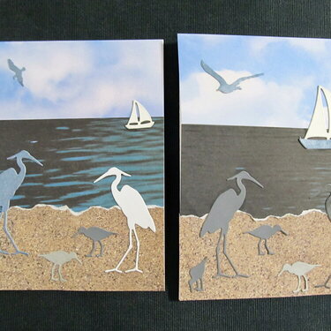 2 improved shore birds cards