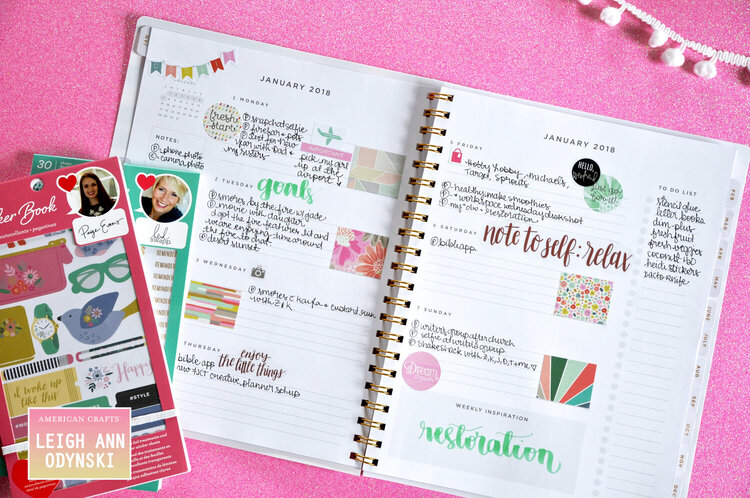 American Crafts DT Planner Weekly Spread and Plan With Me
