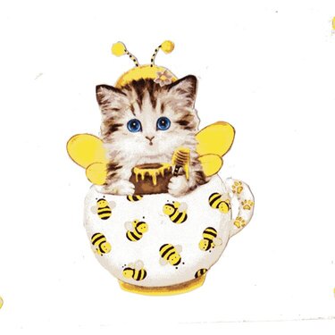 Summer Bee/Cat