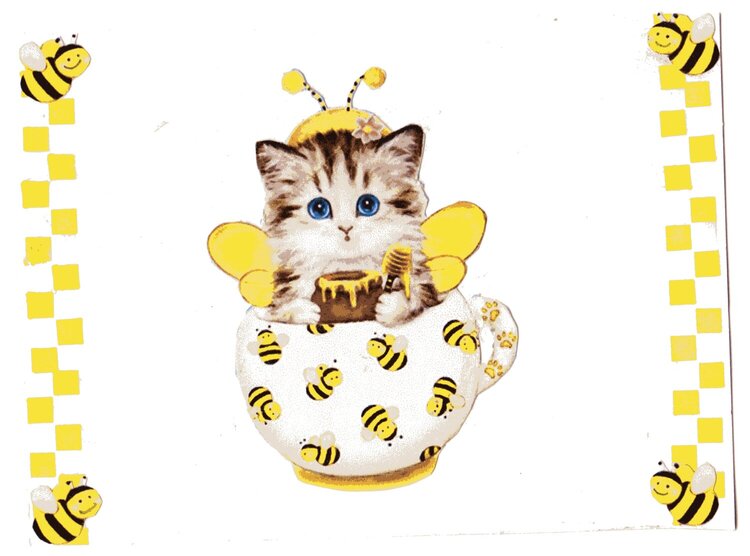 Summer Bee/Cat