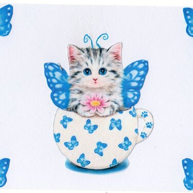 Spring Butterfly/Cat
