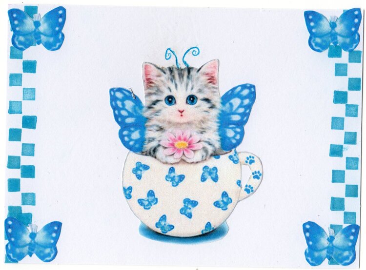 Spring Butterfly/Cat