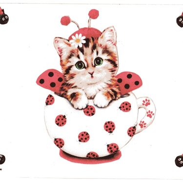 Spring Ladybug/Cat