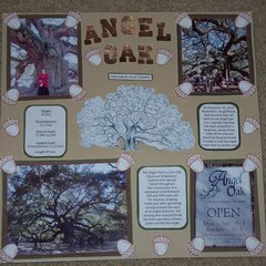Angel Oak (tree)