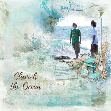 Cherish the Ocean