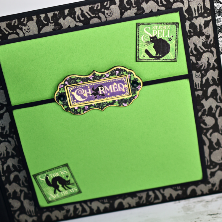 Graphic 45 Charmed 8x8 Album Project Idea