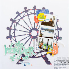 THE WONDER OF IT ALL