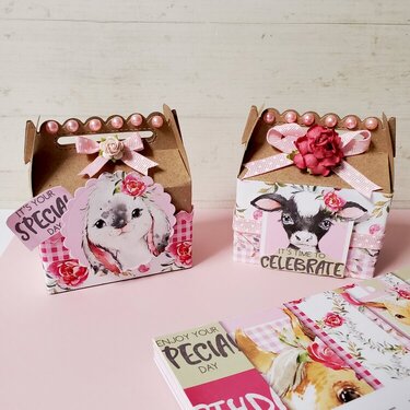 House Warming Treat Boxes