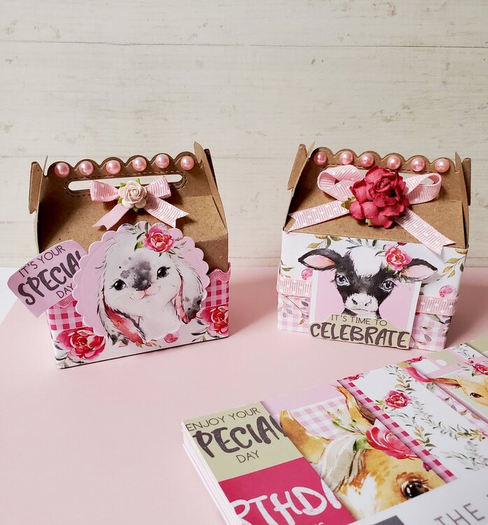 House Warming Treat Boxes