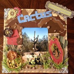 CACTUS ( Our Favirite Arizona Picture )