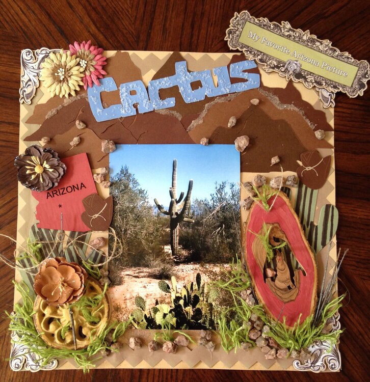 CACTUS ( Our Favirite Arizona Picture )