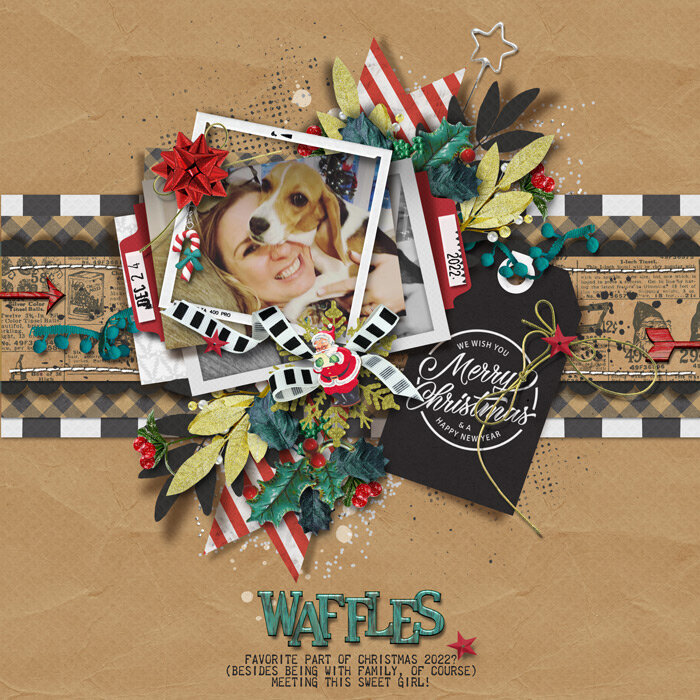 Waffles | December 2021