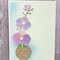 Orchid Cards