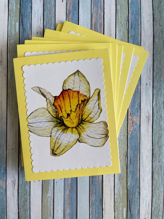 Daffodil any occasion card set
