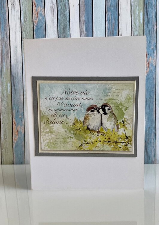 French bird any occasion card