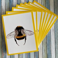 Bumblebee any occasion card set