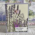 Lavender card