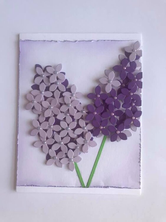 Lilac Card
