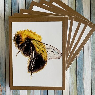 Bumblebee any occasion card set