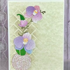 Orchid Cards