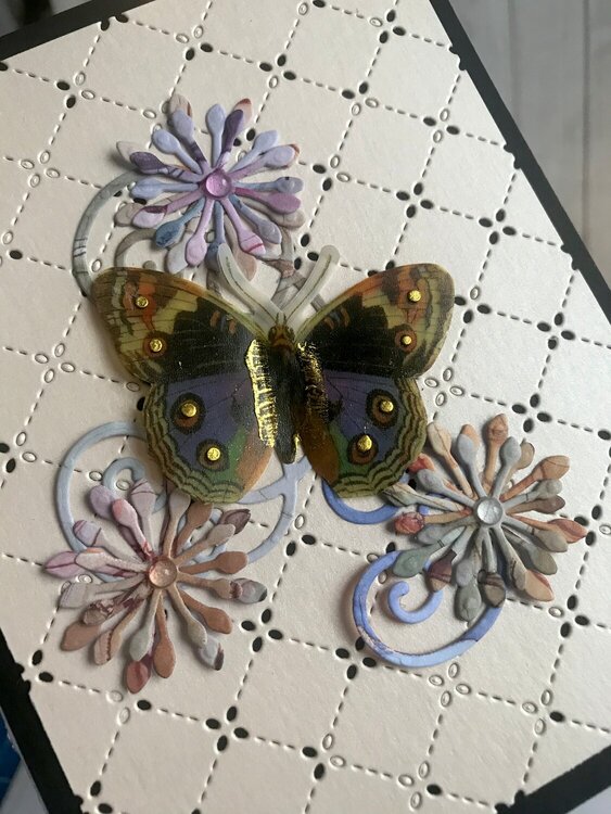 Butterfly and Flowers card