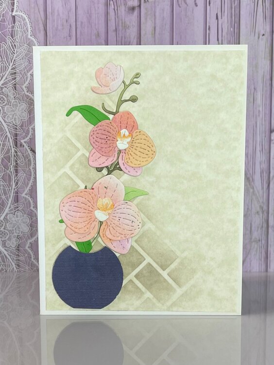 Orchid Cards