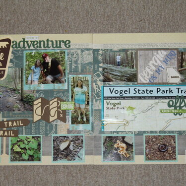 Vogel State Park Scenic Adventure