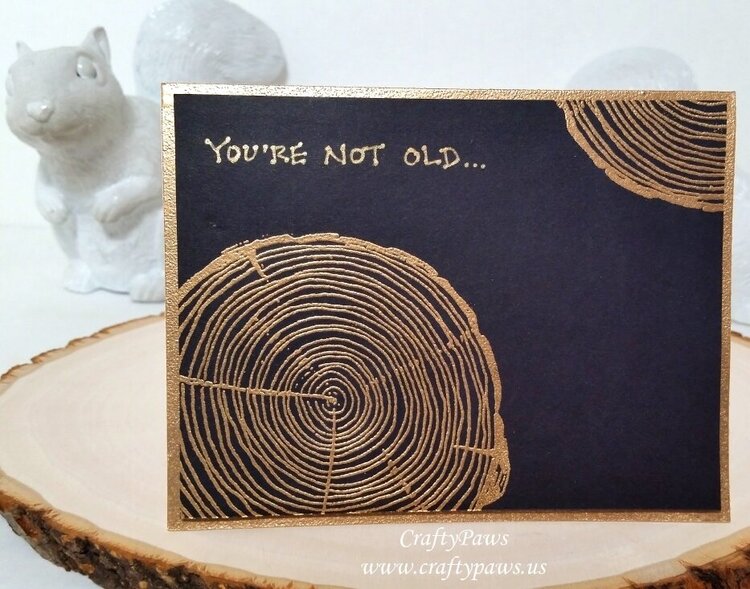 Funny CAS Masculine Birthday Card