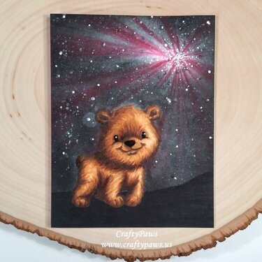 BEARy Special Starry Night