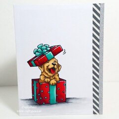 CAS Puppy Christmas Card