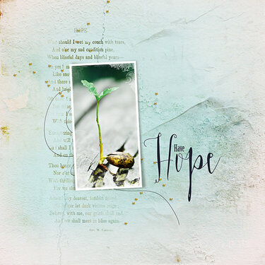 Have Hope