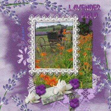 Lavender Field with Buggy