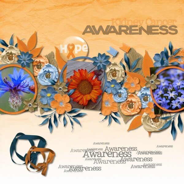 Awareness:  Kidney and Colon Cancer