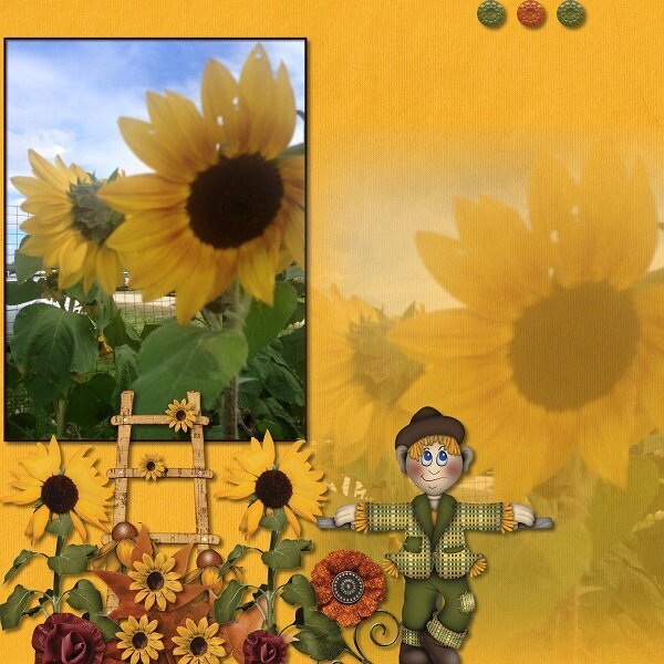 Sunflowers and Scarecrows