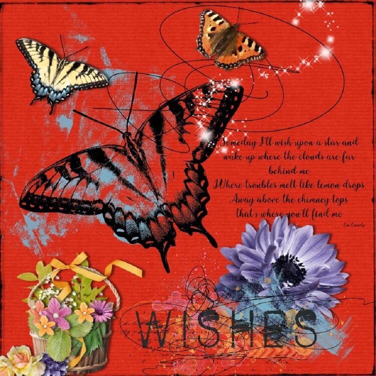 Butterfly Wishes