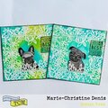 Dogs Cards