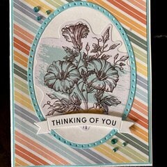 Oak Lane Thinking of You