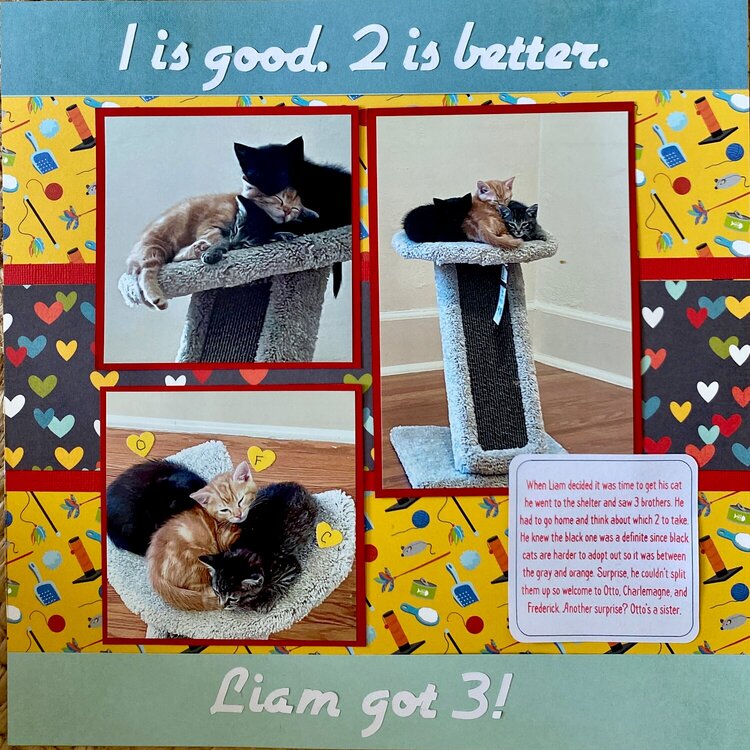1 is Good. 2 is better. Liam got 3!