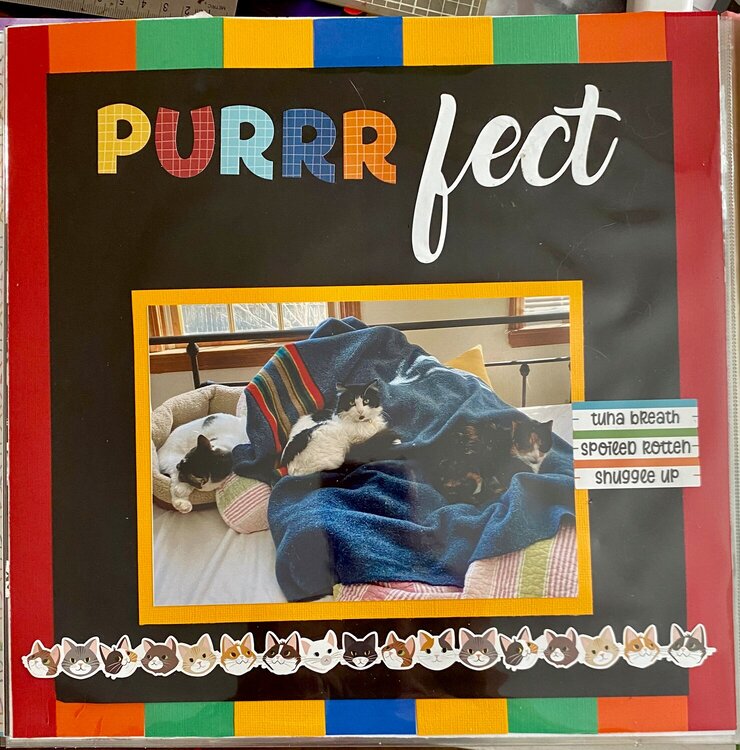 Purrrfect