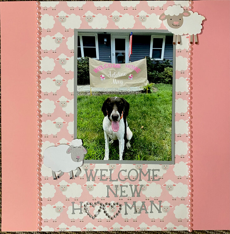 Welcome New Hooman